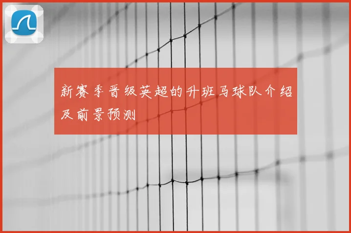 新赛季晋级英超的升班马球队介绍及前景预测