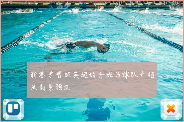 新赛季晋级英超的升班马球队介绍及前景预测