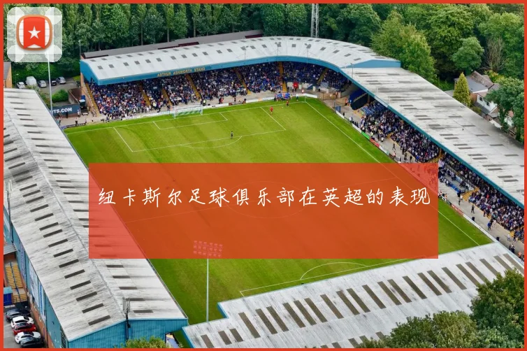 纽卡斯尔足球俱乐部在英超的表现